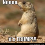 trumpdawg